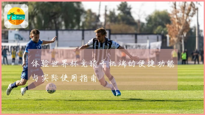 体验世界杯竞猜手机端的便捷功能与实际使用指南