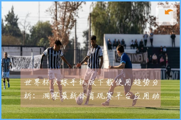 世界杯买球手机版下载使用趋势分析：洞察最新体育观赛平台应用动向