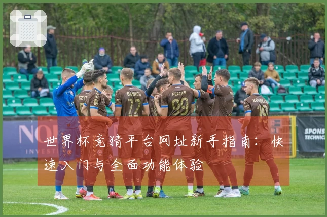 世界杯竞猜平台网址新手指南：快速入门与全面功能体验
